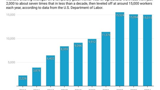 Migrant farm work has boomed in Michigan. The feds just cut workers’ pay