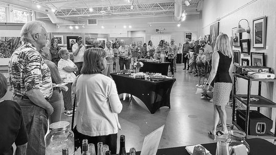 NAA ‘Members Art Exhibit’ set