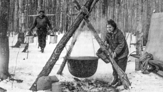 Natives allowed to purchase government lands, vote