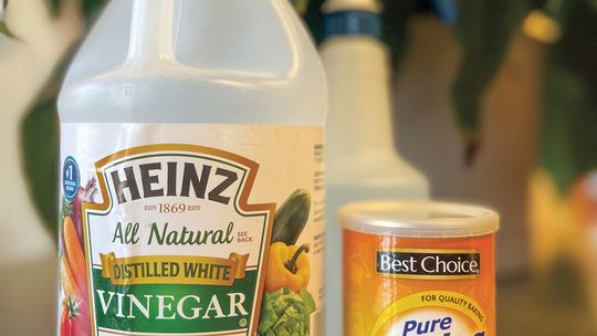 Natural cleaning solutions