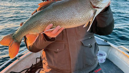 Ryan Noonan took this 15-pound lake trout from West Grand Traverse Bay, by jigging from a 17-foot boat in about 150 feet of water. With ice remaining unsafe though most of Michigan, anglers are finding other ways to fill their freezers. Courtesy photo