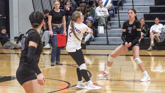 Leland freshman libero Aubrey Roussea handles a Lake Leelanau St. Mary serve during a match earlier this month. Enterprise photo by Brian Freiberger