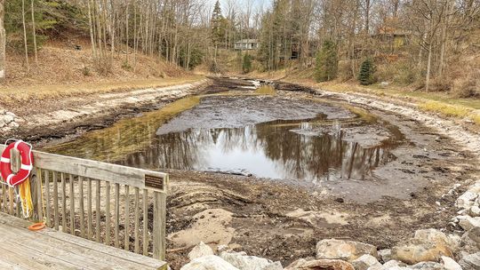 Northport Creek rewilding efforts; awareness ongoing