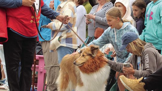 Thousands of people line the street of Northport to get a chance to pet dogs that were participating during the dog parade. Enterprise photo by Brian Freiberger