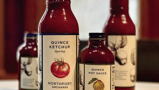 Daniel Caudill launched his first products, a quince hot sauce and a quince ketchup, from his new company “Northport Orchards” this year. Photo courtesy of Daniel Caudill