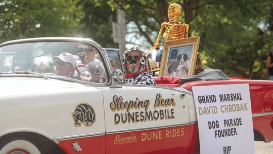 Northport goes to the dogs (and Rock Stars)