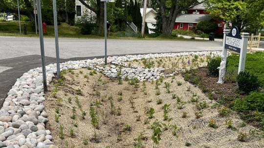The newest rain garden addition to the Village of Northport, which is located at the corner of Main and Waukazoo Street, was completed last week. Enterprise photo by Meakalia Previch-Liu