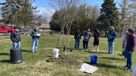 Students from Northport Public School helped plant a London planetree for the village’s first Arbor Day celebration in 2022. Enteprise photo by Meakalia Previch-Liu
