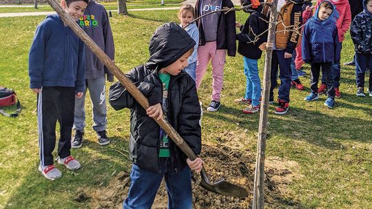 Northport to celebrate fourth annual Arbor Day