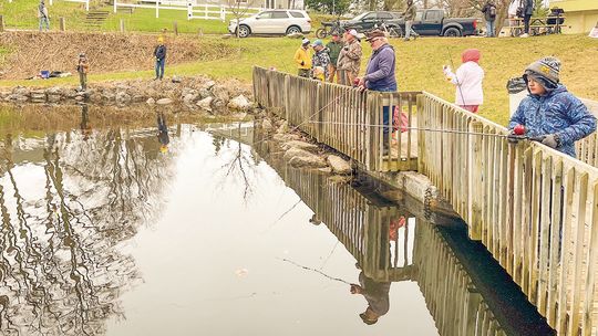 NP council discusses millage for Mill Pond dam