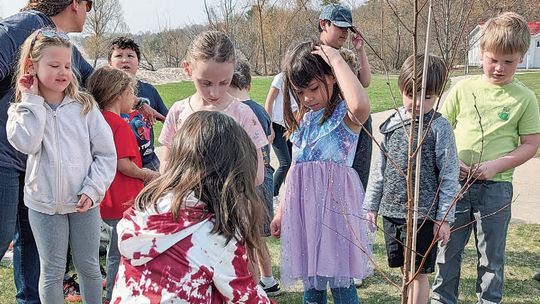 Npt. celebrates 5th Arbor Day