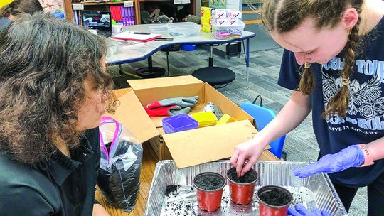 Eighth graders Alayah Jones, at left, and Elsie Purdy Teahen, at right, are pictured planting seeds in three different mediums: regolith (mock moon soil), a half and half regolith and “earth (Michigan) dirt” mix, and just earth dirt, for the mission objective: gardening on the moon. Photo...