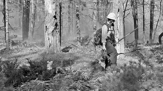 Park prescribed fires scheduled