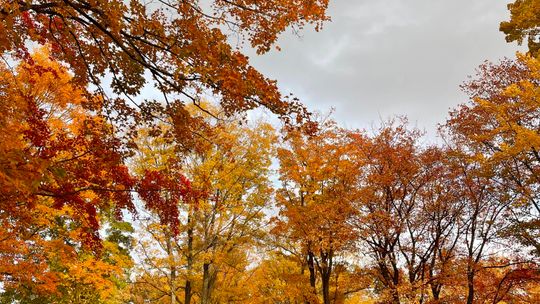 Peak fall colors throughout the county