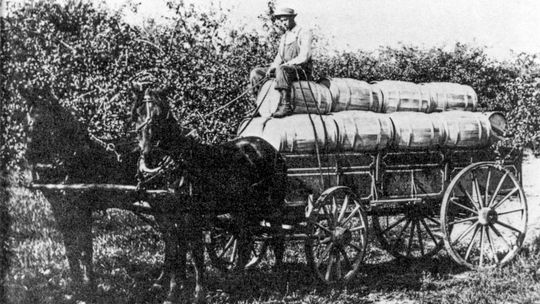 Peninsula was once ‘Apple central’