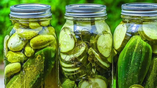 Pickle Recipes