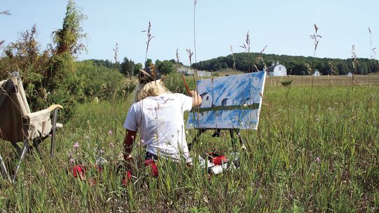Mary Miller sits on a picnic blanket as she paints the DH Day Farm, a landmark at the Sleeping Bear Dunes National Lakeshore. Miller was one of 75 artists to participate in the 2024 Plein Air Paint Out hosted by the Glen Arbor Arts Center Saturday, where artists had just one day to fill a...