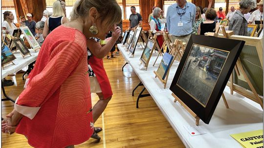 Plein Air weekend draws crowd