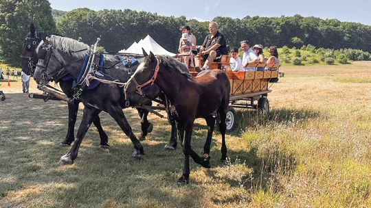 Port Oneida Fair draws 2,000 visitors