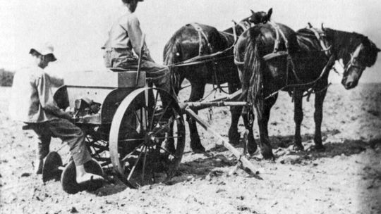 Nels and Alvin Fredrickson planting potatoes by machine in the early 1900s. Photo from “A History of Leelanau Township” by the Leelanau Township Historical Writers Group