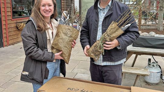 Putting the ‘arbor’ in Glen Arbor