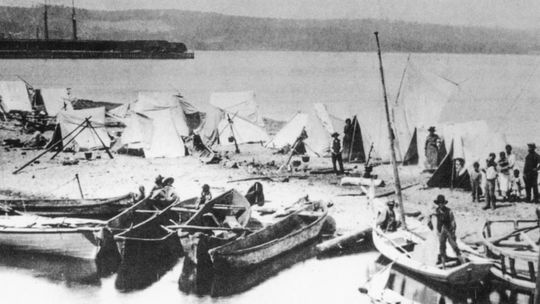 Resource-rich Suttons Bay, timber and soil