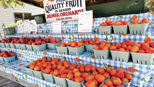 Roadside stands are plentiful in Leelanau County. Most respect the honor system and pay for their items. Other don’t. Enterprise photo by Amy Hubbell