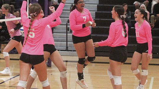 Suttons Bay defeated Leland for the first time in four years Tuesday. The Norse celebrate after scoring a clutch point late in the game to win the match 3-1. Enterprise photo by Brian Freiberger
