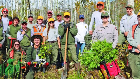 SBDNL, other agencies plant trees, fight invasive species