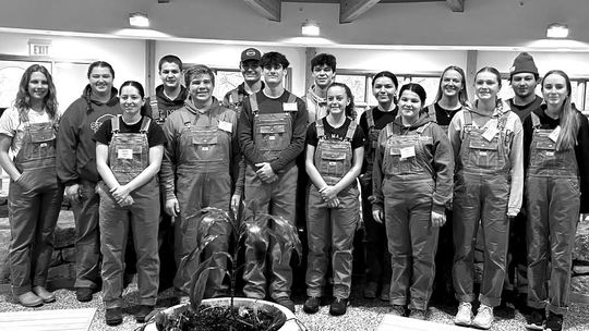 St. Mary seniors serve during spring break
