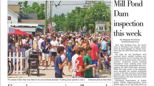 Support for library millage