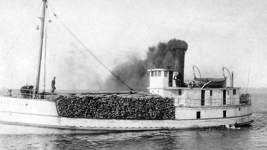 M.H. Stewart, a small steamer, was sighted many times in the Manitou Passage. Photo courtesy of Leelanau Historical Museum