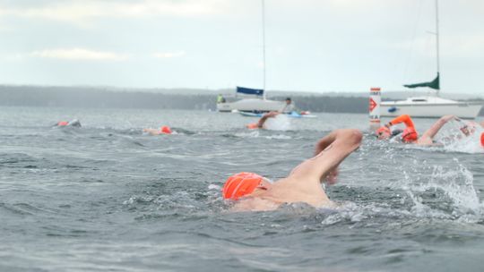 Swim The Bay returns Aug. 8