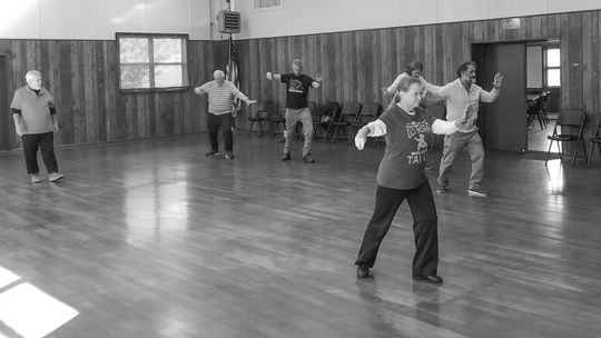 Mary Taylor, of Lake Leelanau, leads a Tai Chi class for beginners at Solon Township Hall Monday. The class meets at 10:30 a.m. Mondays, Wednesdays, and Fridays, and attracts between five and 15 participants, Taylor said. The class has nominal fees, with the proceeds going to the township...