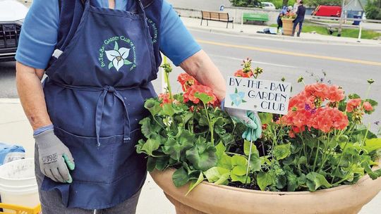 The By the Bay Garden Club planted over 20 flower pots for downtown Suttons Bay this morning. They will be placed around town in time for Memorial Day weekend and will remain in town until the fall. Pictured above is member Pat Ard. Courtesy photo
