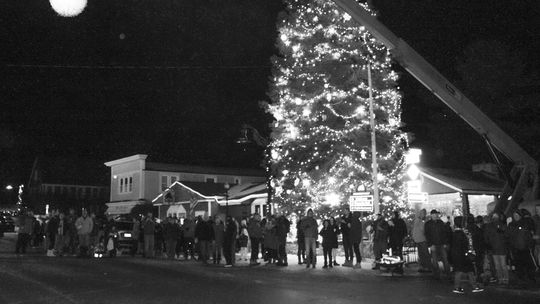 The community of Northport