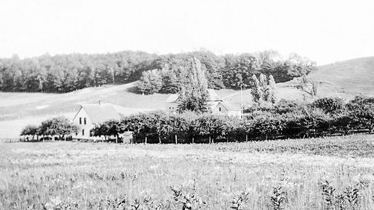 The farm at the end of Miller Road