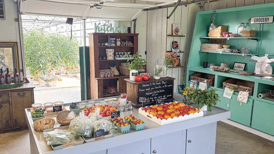 The local farm that produces differently: TLC Farms