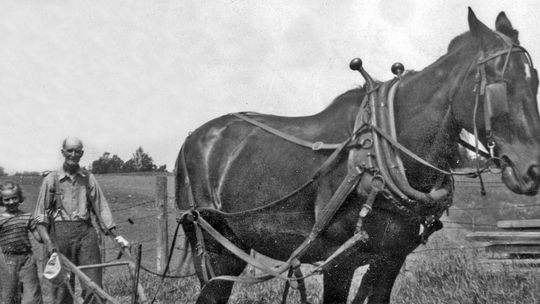 The Millington Farm of Port Oneida