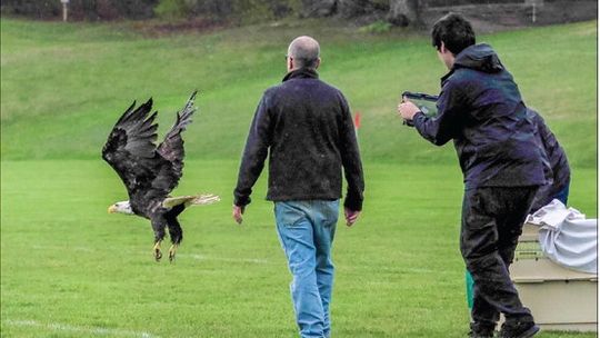 The Skegemog Raptor Center
