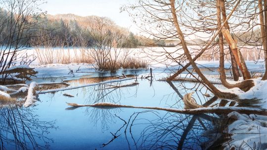 The work of Empire artist Kent Wiejaczka is featured at the 77th annual Michigan Watercolor Society exhibit at the Dennos Museum in Traverse City. His painting, titled “Winter at North Bar Lake” was awarded the “International Society of Experimental Artists.” The exhibit runs through Sept....
