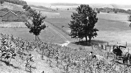They came to Port Oneida from all over the Midwest