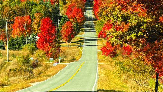 This rollercoaster road in Centerville Township has more color than just the political signs. Enterprise photo by Amy Hubbell