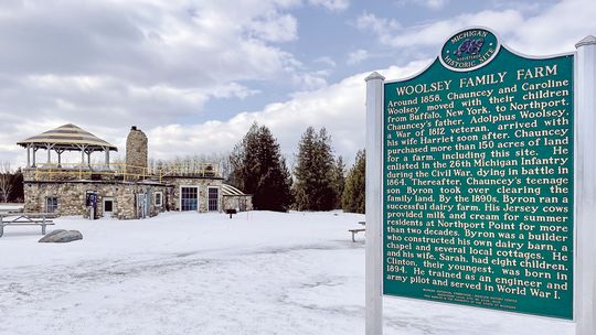 Leelanau Township board of trustees unanimously voted to support the Woolsey Memorial Airport Restoration project with a maximum of $100,000 to be taken out of existing facility funds. Enterprise photo by Meakalia Previch-Liu