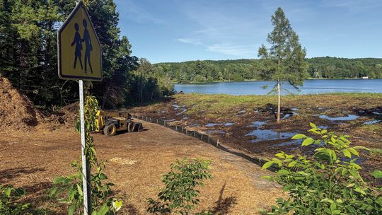 Trees cut down at Lake Leelanau property