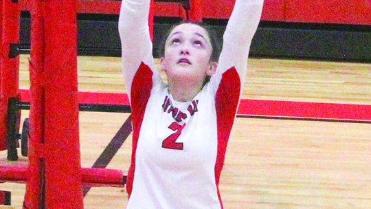 Volleyball Dream Team