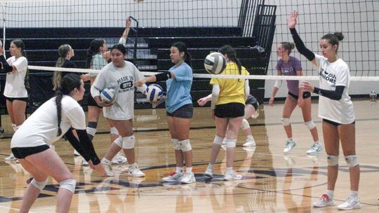 Volleyball preview: Glen Lake, Lake Leelanau St. Mary, Leland, Suttons Bay