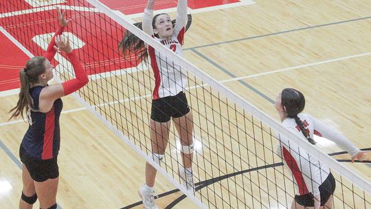 Volleyball Previews: SB ready to continue growth