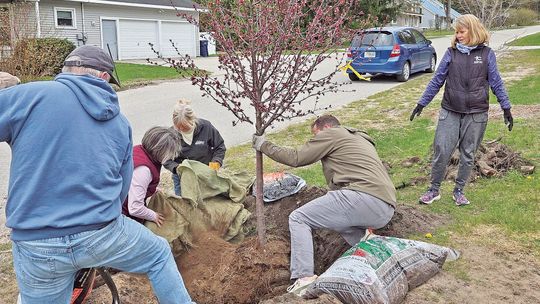 Volunteers help clean-up SB