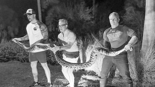 Volunteers needed for Npt. Winter Carnival